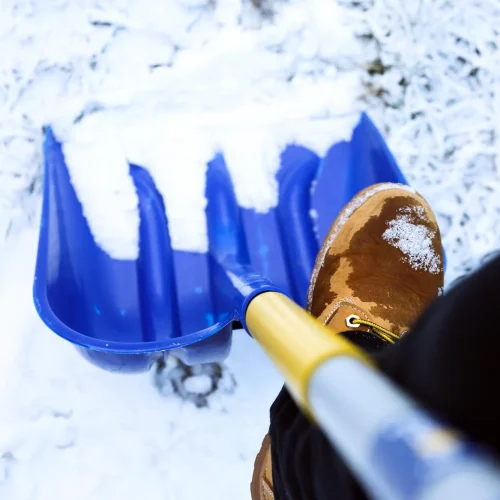 Professional Snow Removal Services