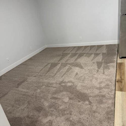 floor cleaning of home